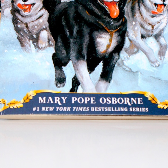 Magic Tree House Merlin Missions Book Set - Picture 9 of 10